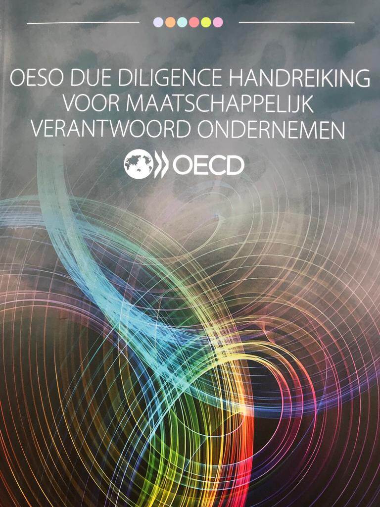 OESO Due Diligence Handreiking