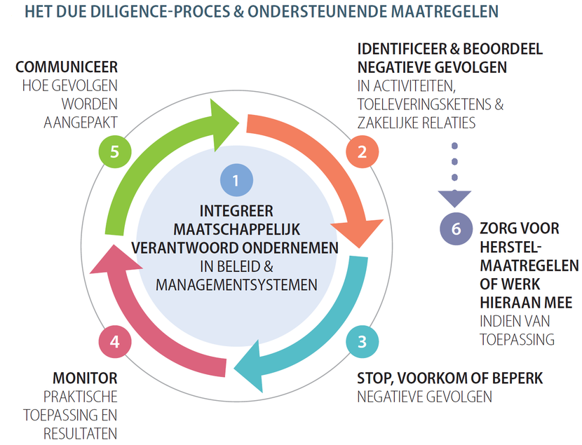 6 Stappen Due Diligence